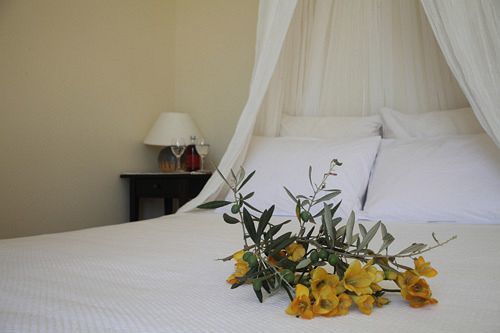 Urania Luxury Villas Pondi المظهر الخارجي الصورة